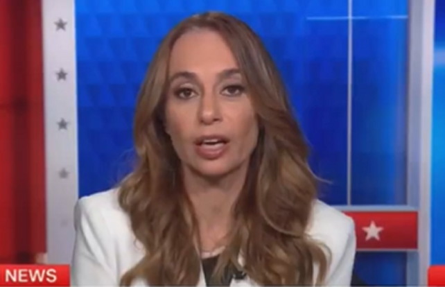 BRUTAL: Los presentadores de CNN guardan absoluto silencio mientras la estratega demócrata ofrece algunas ‘verdades duras’ a su partido (VIDEO) | El experto en puerta de enlace