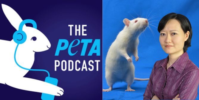 Escuche el podcast de PETA