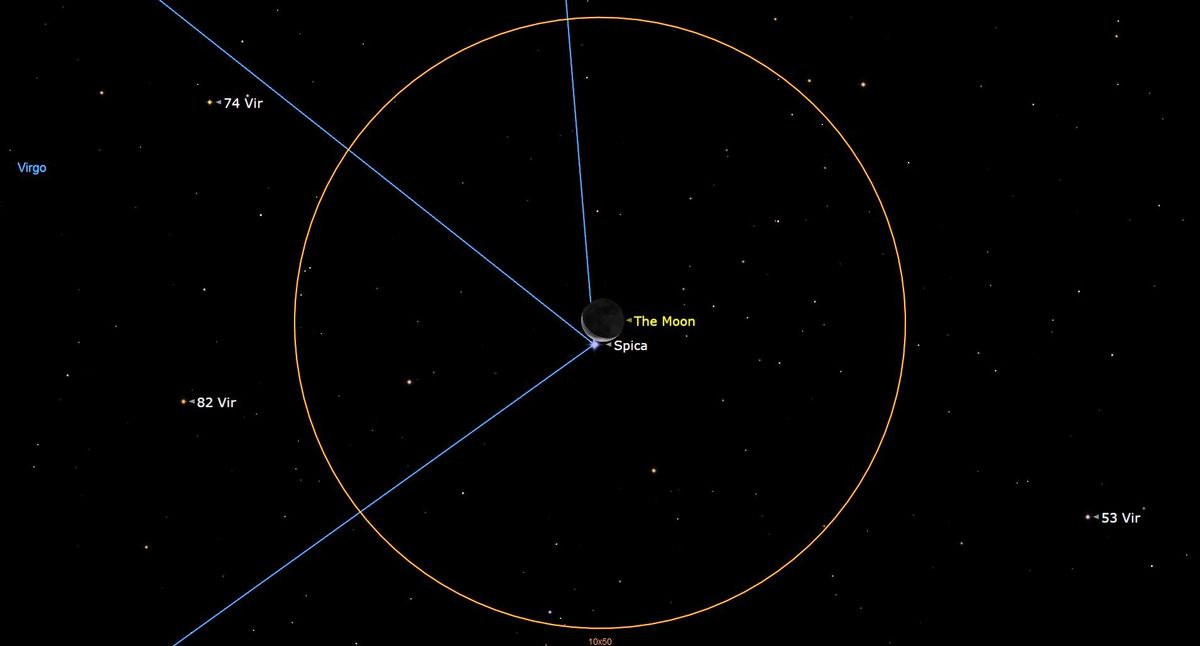 La luna eclipsa a la brillante estrella azul Spica esta semana. He aquí cómo verlo