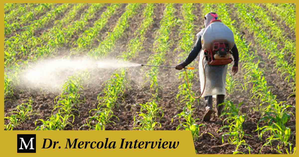 Stephanie Seneff: ‘Legado tóxico’: cómo el glifosato destruye su salud