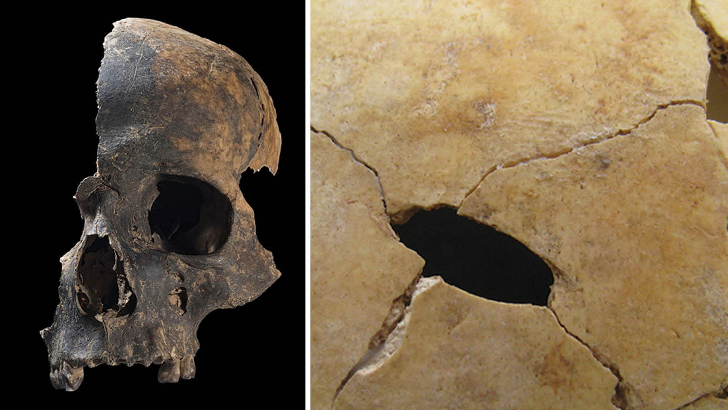 La masacre antigua más grande de Gran Bretaña puede haber incluido canibalismo