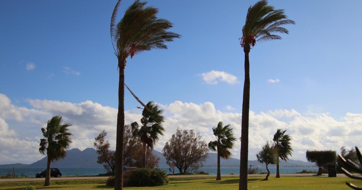 El tiempo en Mallorca para el sábado 7 de diciembre del 2024