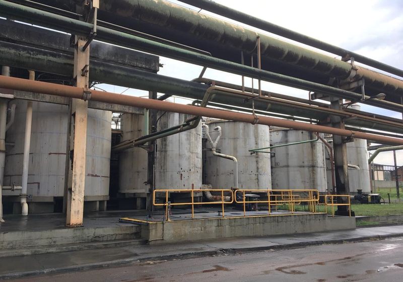 No todas las bacterias son malas en la producción de biocombustibles | Resumen de TS