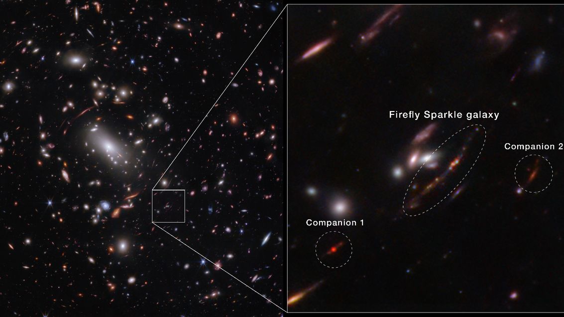 El Telescopio Espacial James Webb es testigo del ensamblaje de la galaxia Firefly Sparkle ladrillo a ladrillo (imagen, vídeo)