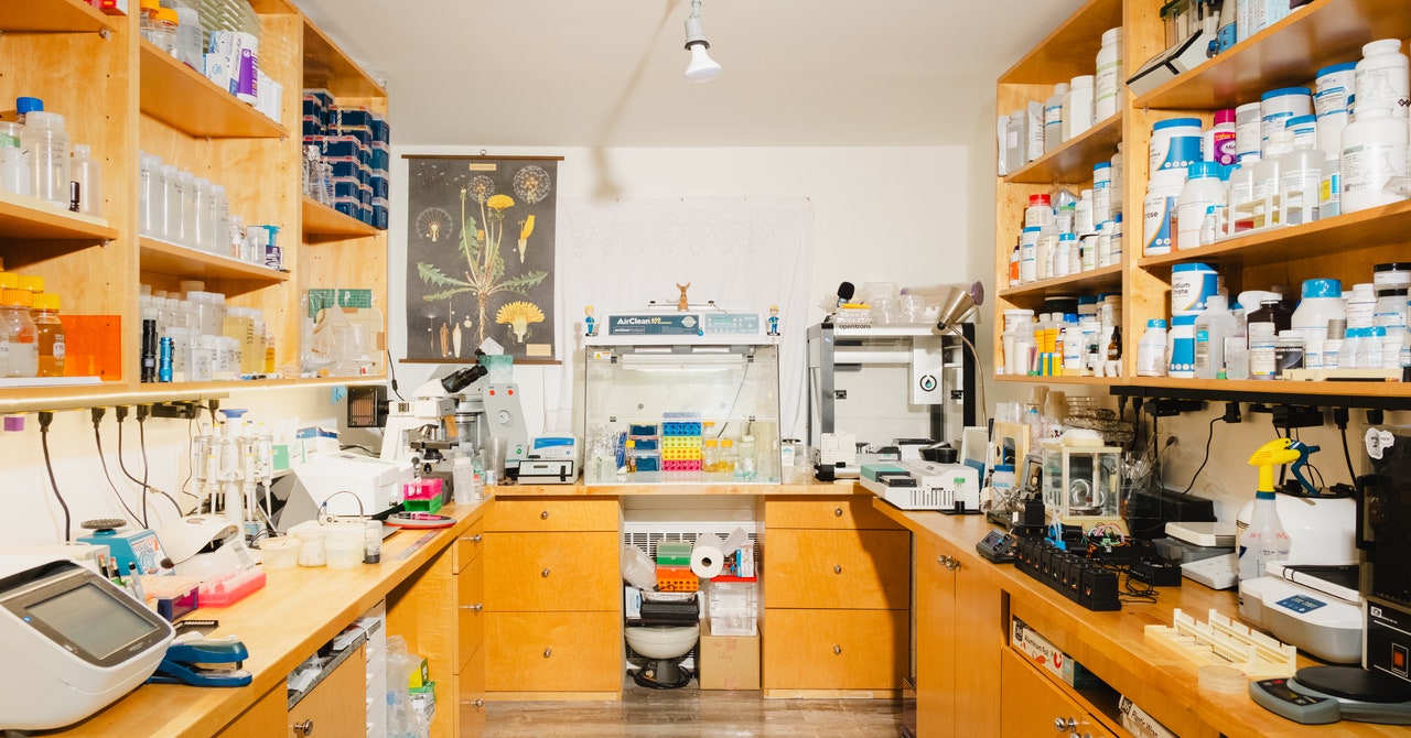 Conozca al Plant Hacker que crea flores nunca antes vistas (o olidas)