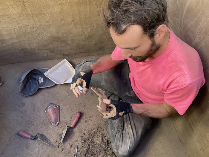 Los caninos eran compañeros humanos 2.000 años antes de lo que se pensaba
