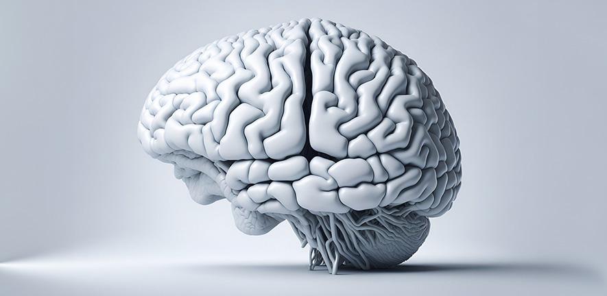 Los científicos ‘escriben’ nuevos patrones de aprendizaje directamente en el cerebro humano
