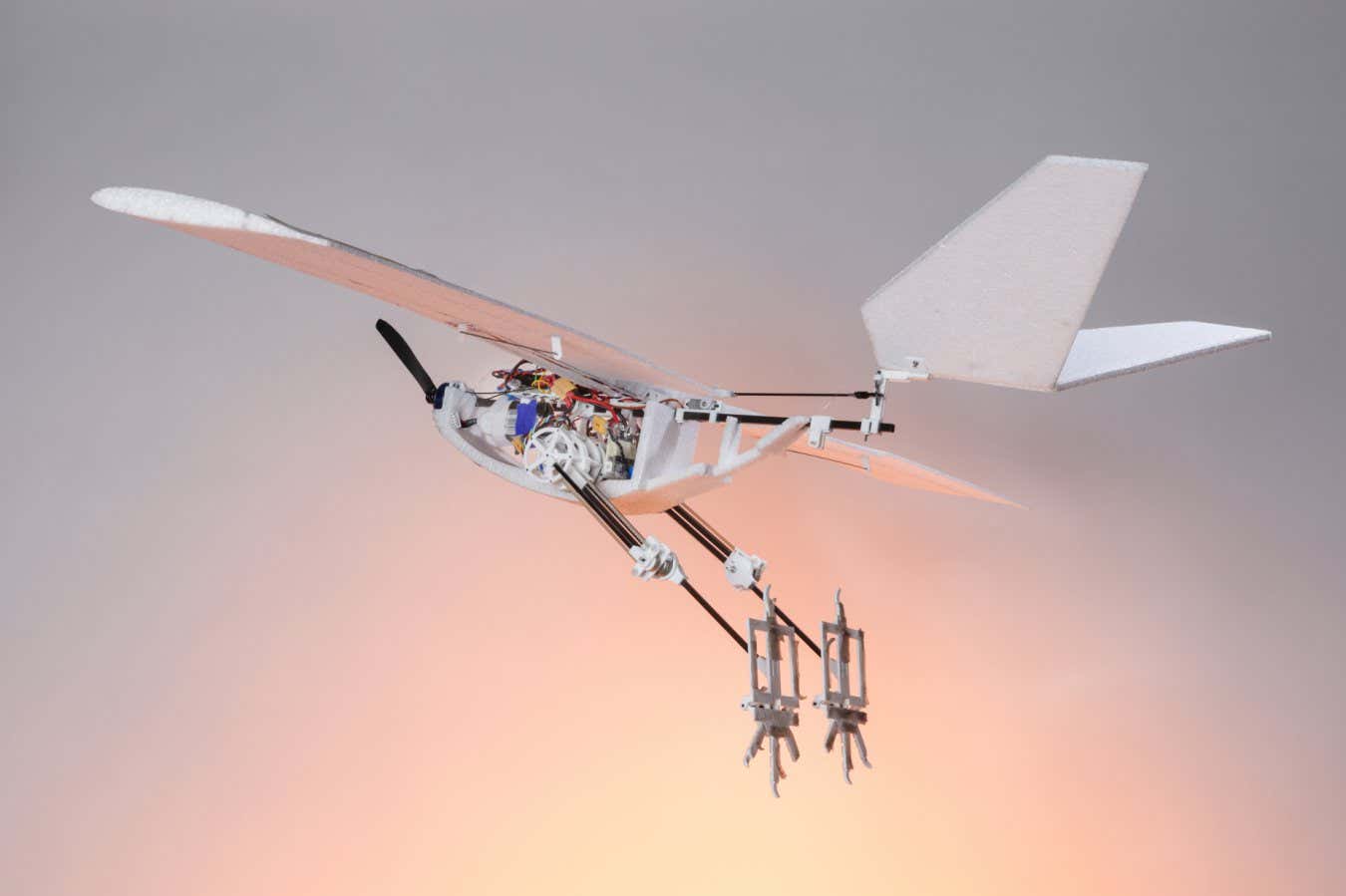 El robot volador salta hacia arriba y luego se eleva como un pájaro.
