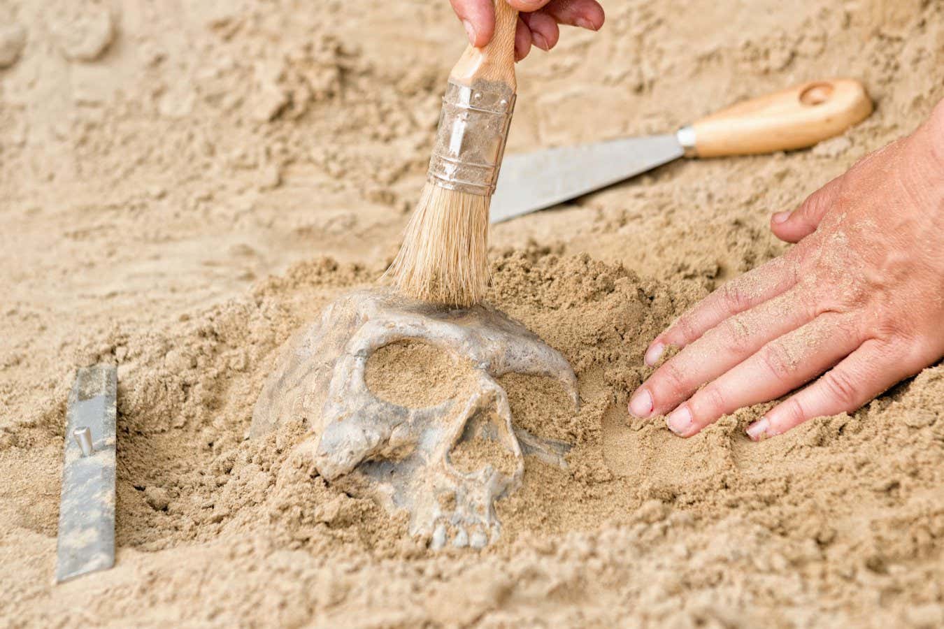 Cómo el ADN en la tierra está remodelando nuestra comprensión de los humanos de la Edad de Piedra