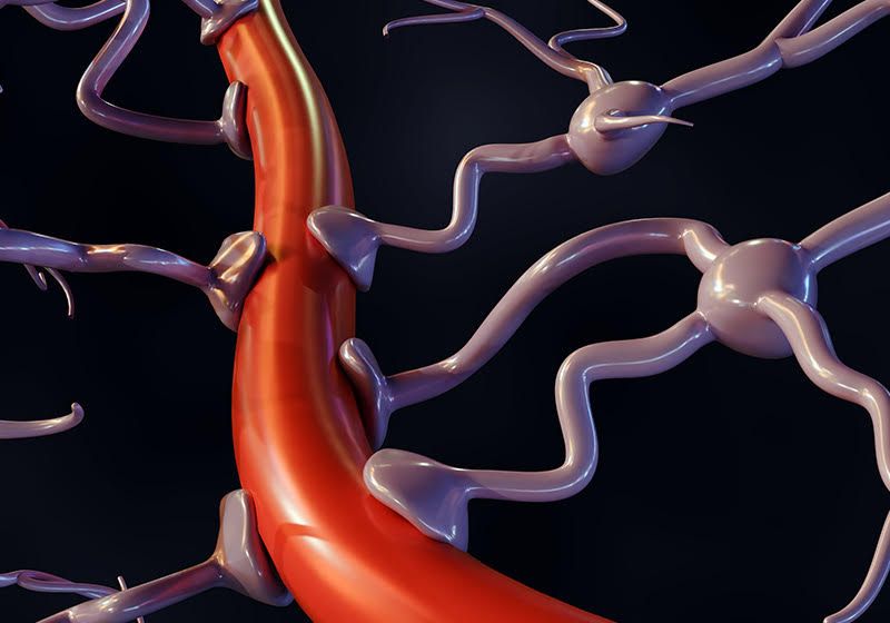 Modelado de la barrera hematoencefálica en un plato