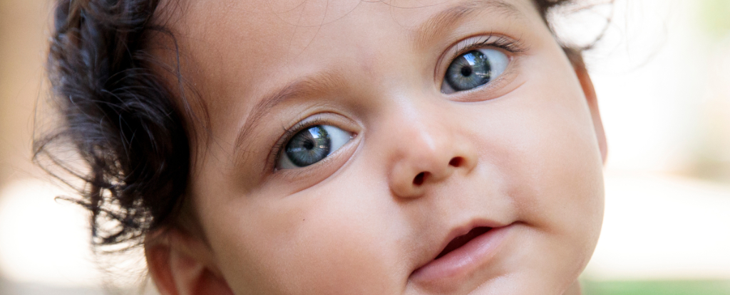 Restos de 17.000 años de antigüedad podrían ser la evidencia más antigua de ojos azules: ScienceAlert
