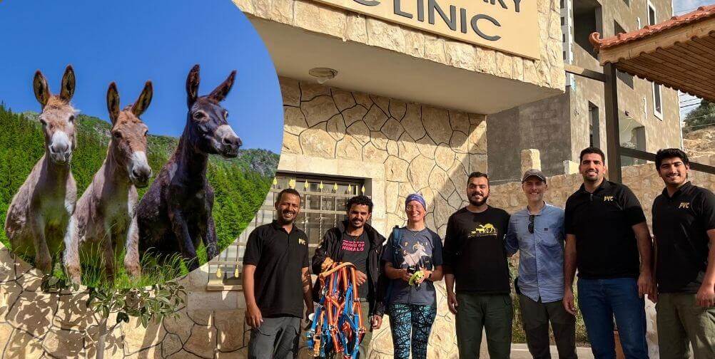 La clínica veterinaria Petra, financiada por Global Compassion, está ayudando a muchos animales