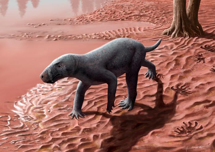 Se ha encontrado el fósil más antiguo conocido de la criatura que parece en parte reptil y en parte mamífero