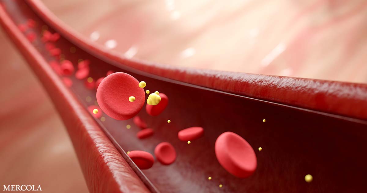 El sorprendente vínculo entre el microbioma intestinal y el nivel de colesterol