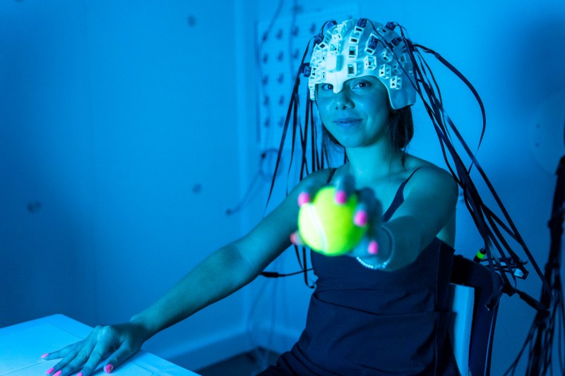 Las imágenes cerebrales avanzadas revelan la danza neuronal de la toma de decisiones