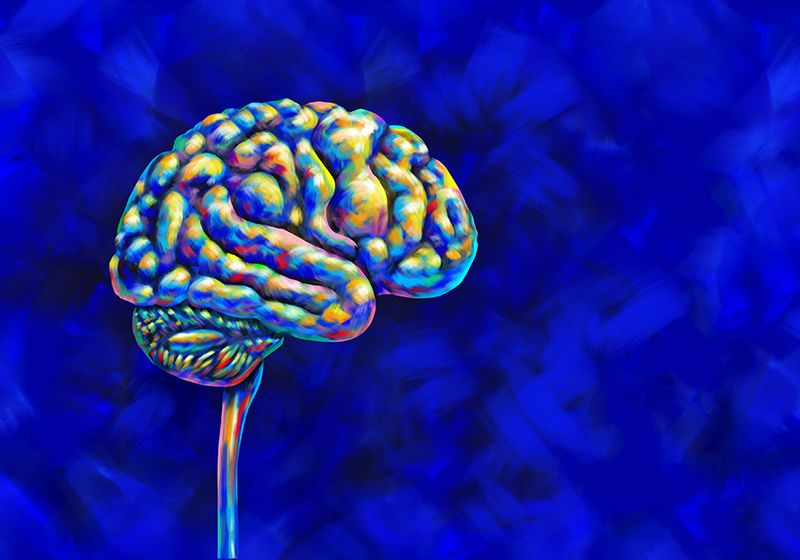 La ciencia trippy desvela el misterio de los efectos ansiolíticos de los psicodélicos