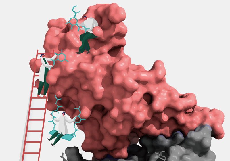 Aprovechamiento de las quinasas recombinantes para la investigación de descubrimiento de fármacos