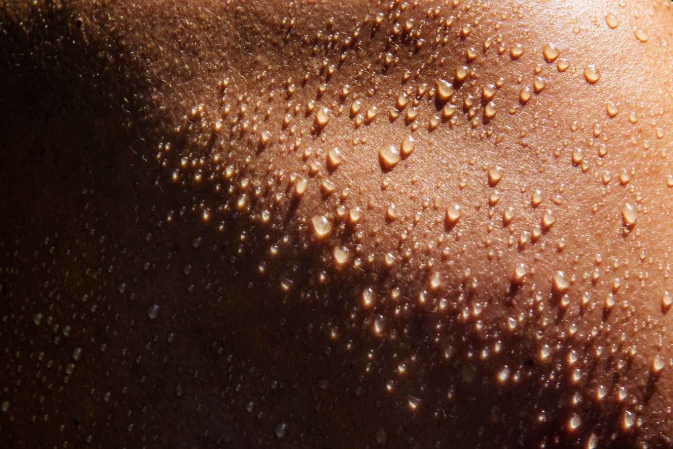 Cómo controlar tu sudor podría revelar el estado de tu salud