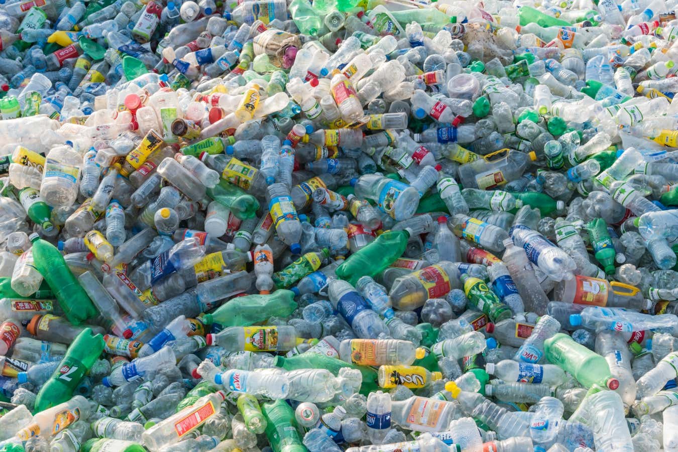Productos químicos plásticos relacionados con cientos de miles de muertes en todo el mundo