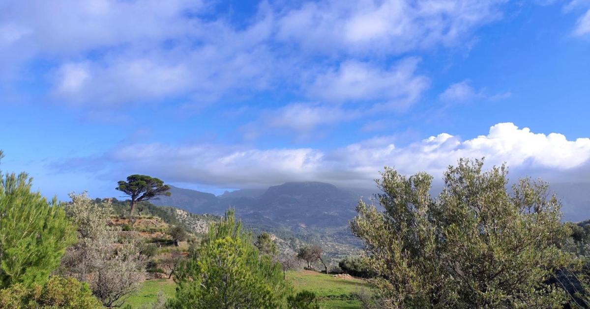 El tiempo en Mallorca para el lunes 20 de enero del 2025