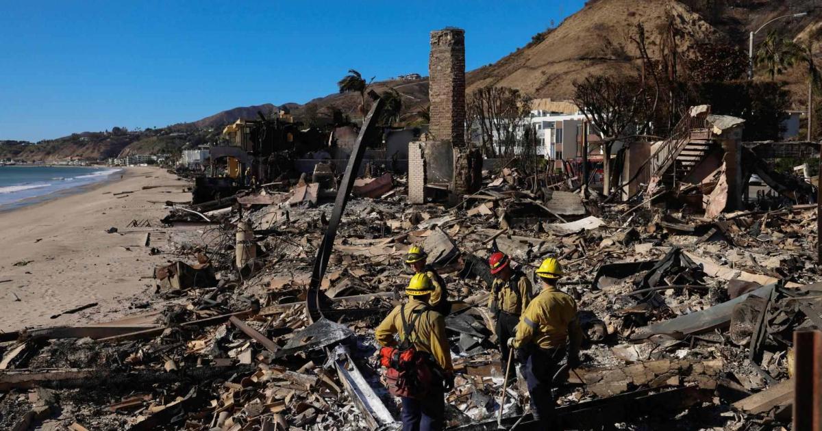 Llamas, fama y consecuencias: una historia de incendios forestales, escándalos y superación personal