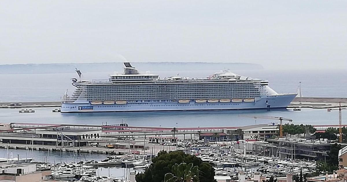 Limitar los cruceros en Palma no ha sido efectivo