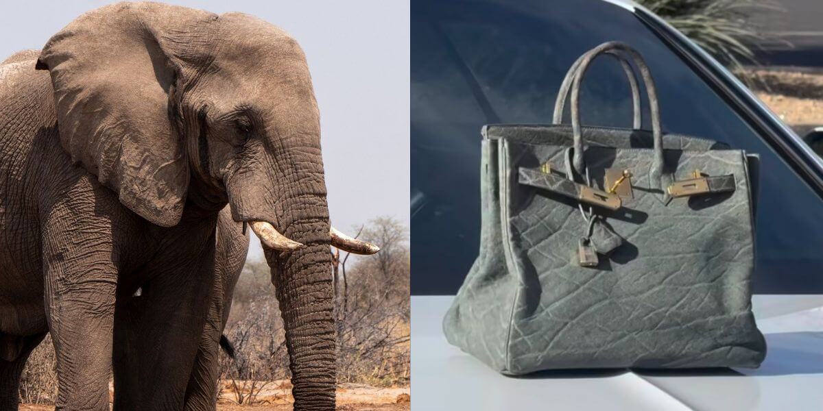 ¿Hermès vende bolsos Birkin de piel de elefante?