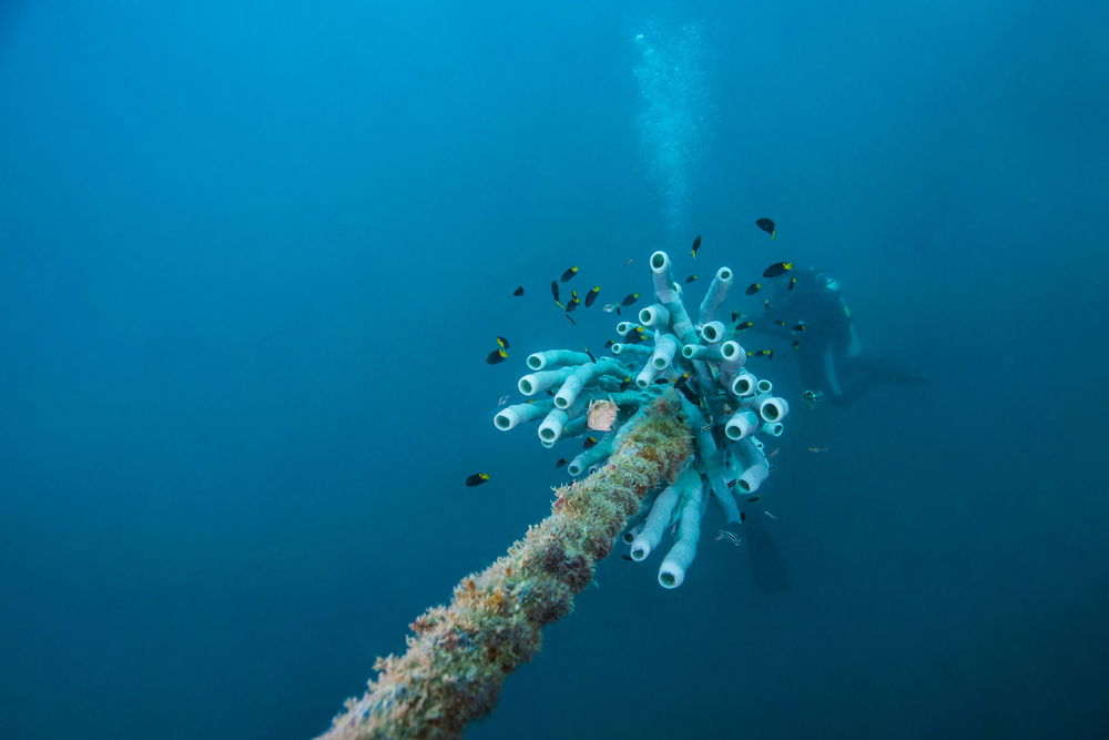 ¿Están indefensos los cables submarinos de Irlanda? « Noticias semanales del euro