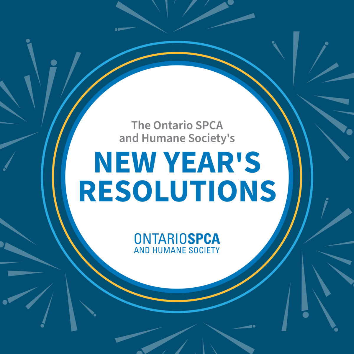 Resoluciones de Año Nuevo 2025 de la SPCA de Ontario