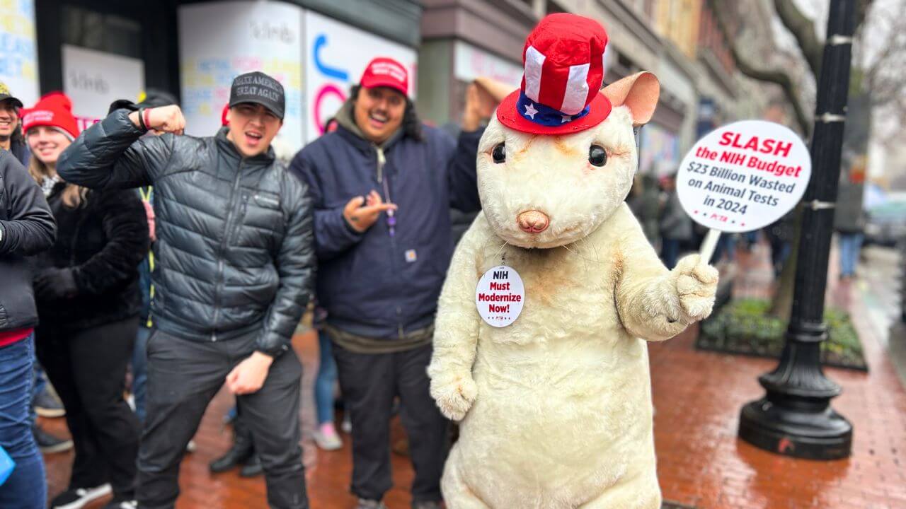 ‘¡Sálvame y 23 mil millones de dólares!’ Un ‘ratón’ gigante aparece en el MAGA Victory Rally