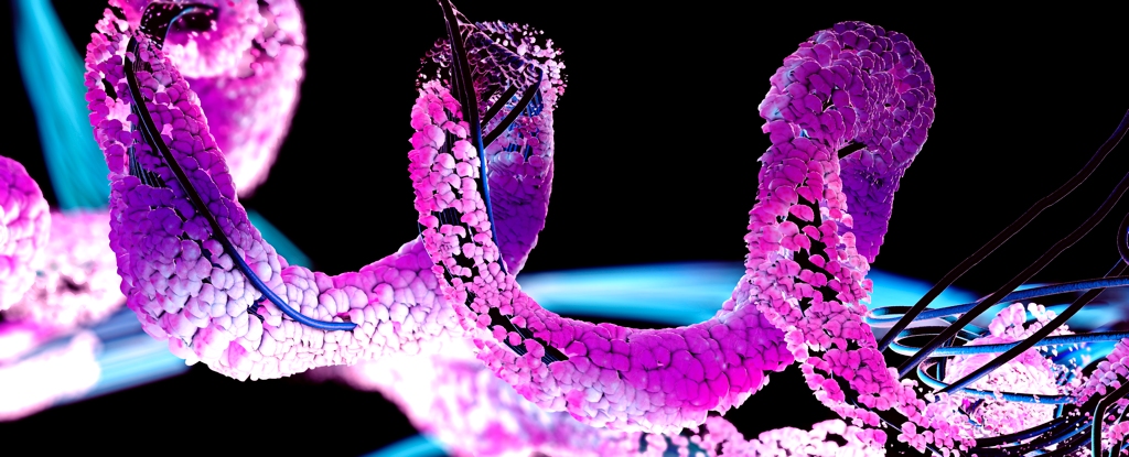 Los científicos identifican una proteína vital para quemar grasas que podría ayudar a perder peso: ScienceAlert