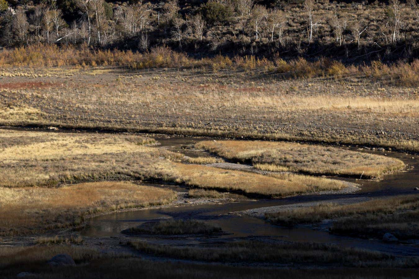 La Niña finalmente está aquí pero no se quedará por mucho tiempo