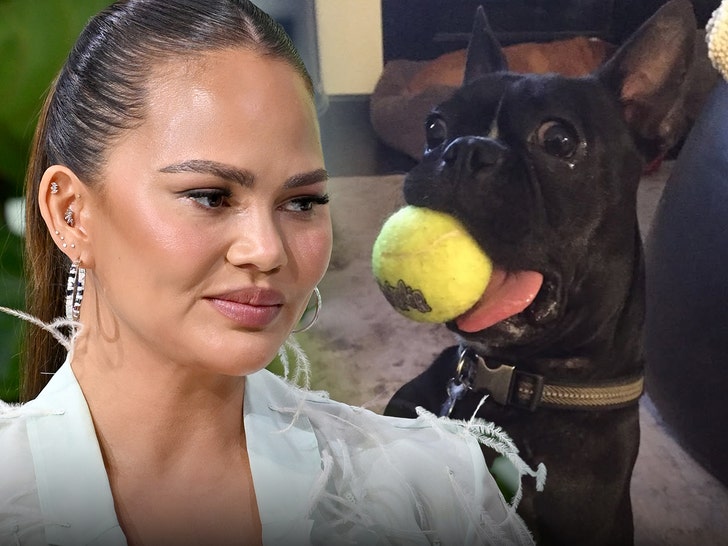 Chrissy Teigen Broadcasts muriendo de canino
