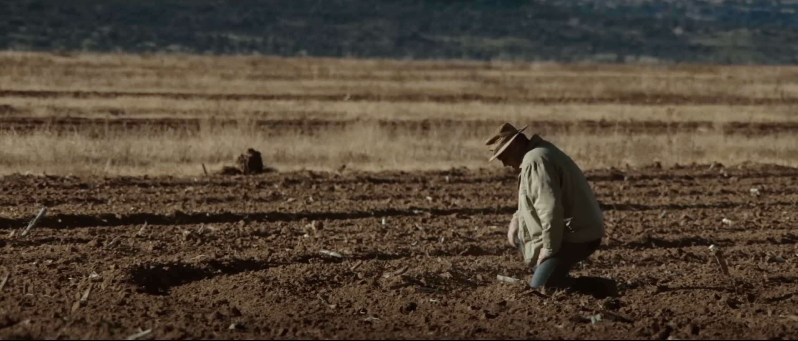 Expropiación sin compensación: el gobierno de “unidad” sudafricana aprueba la ley de agarre de tierras | El experto de la puerta de entrada