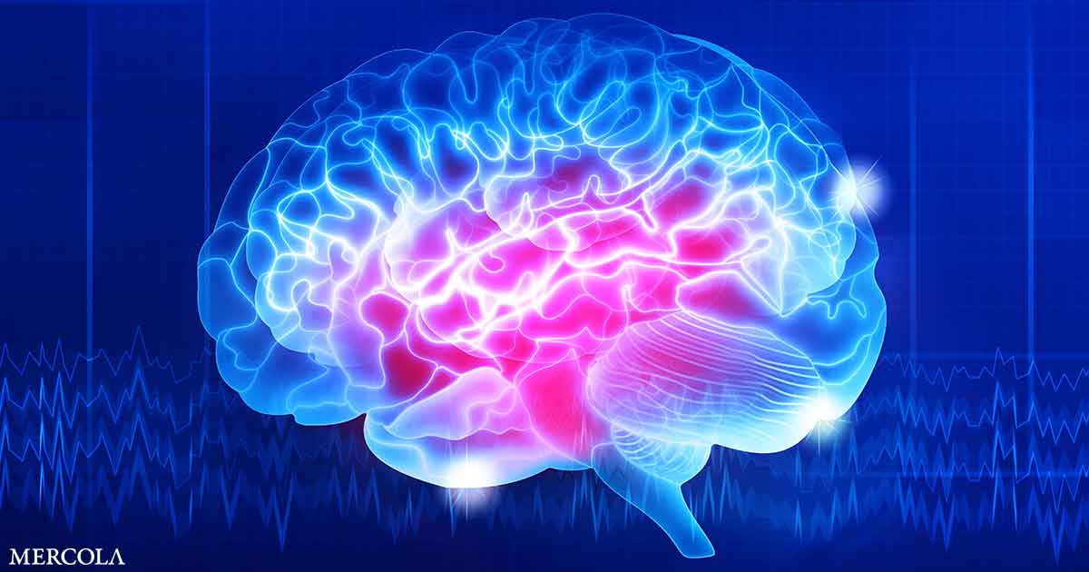 La amenaza oculta del glifosato para la salud cerebral
