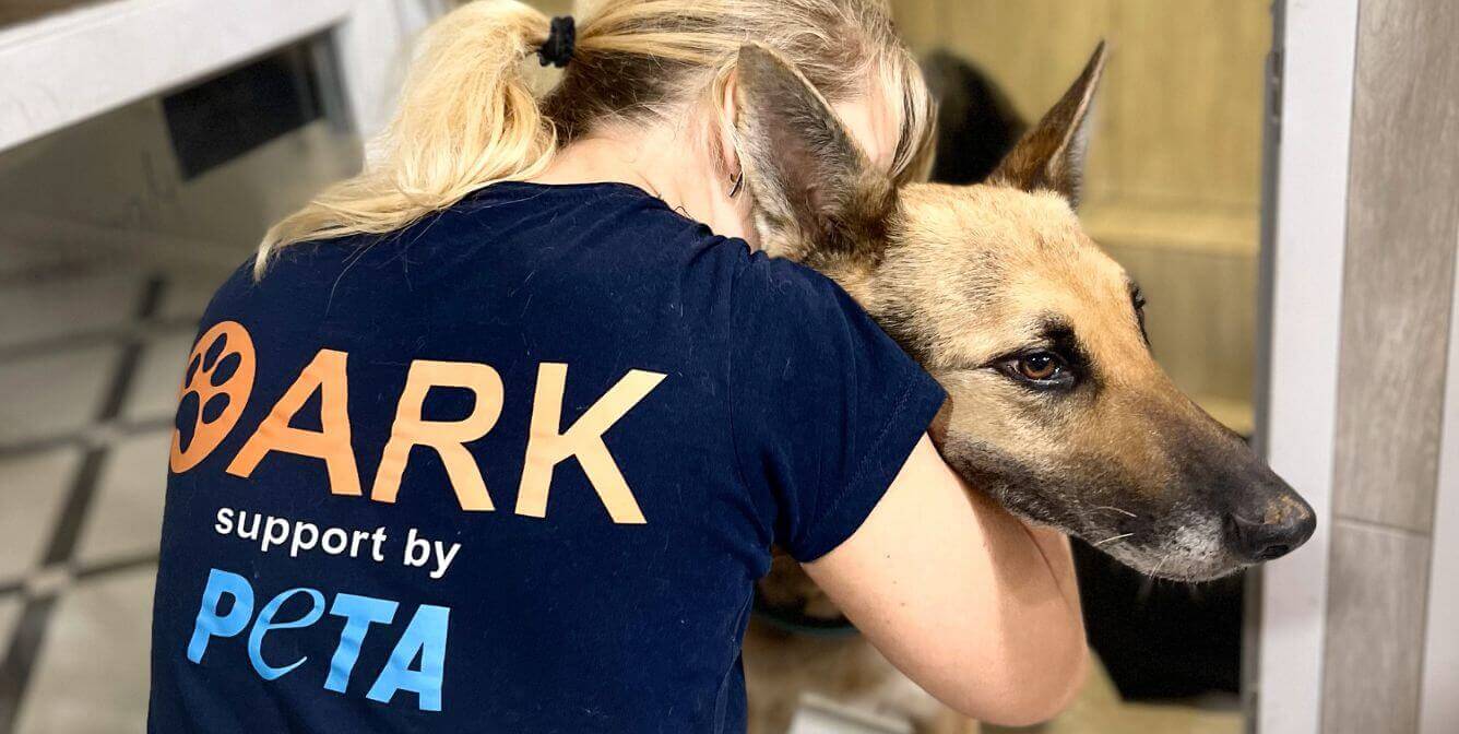 ¡Gana 2024! Más de 8.360 animales ayudados en Ucrania