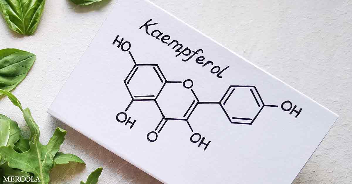 Kaempferol: un potente flavonoide antialérgico