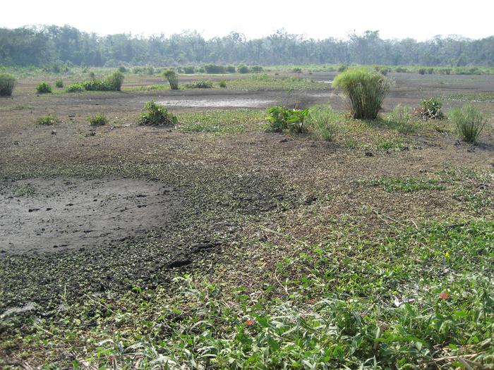 Al domar a las inundaciones sudamericanas, los agricultores neolíticos diseñaron una comunidad estable