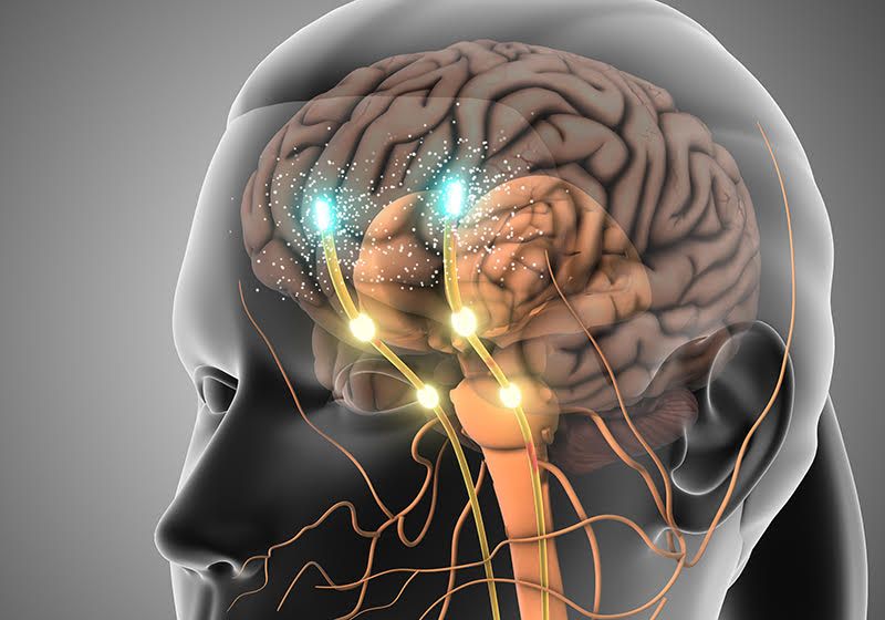 Los neurocientíficos se sumergen en la biología del dolor