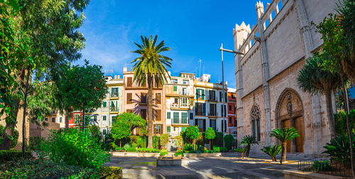 El boom balear « Euro Weekly News