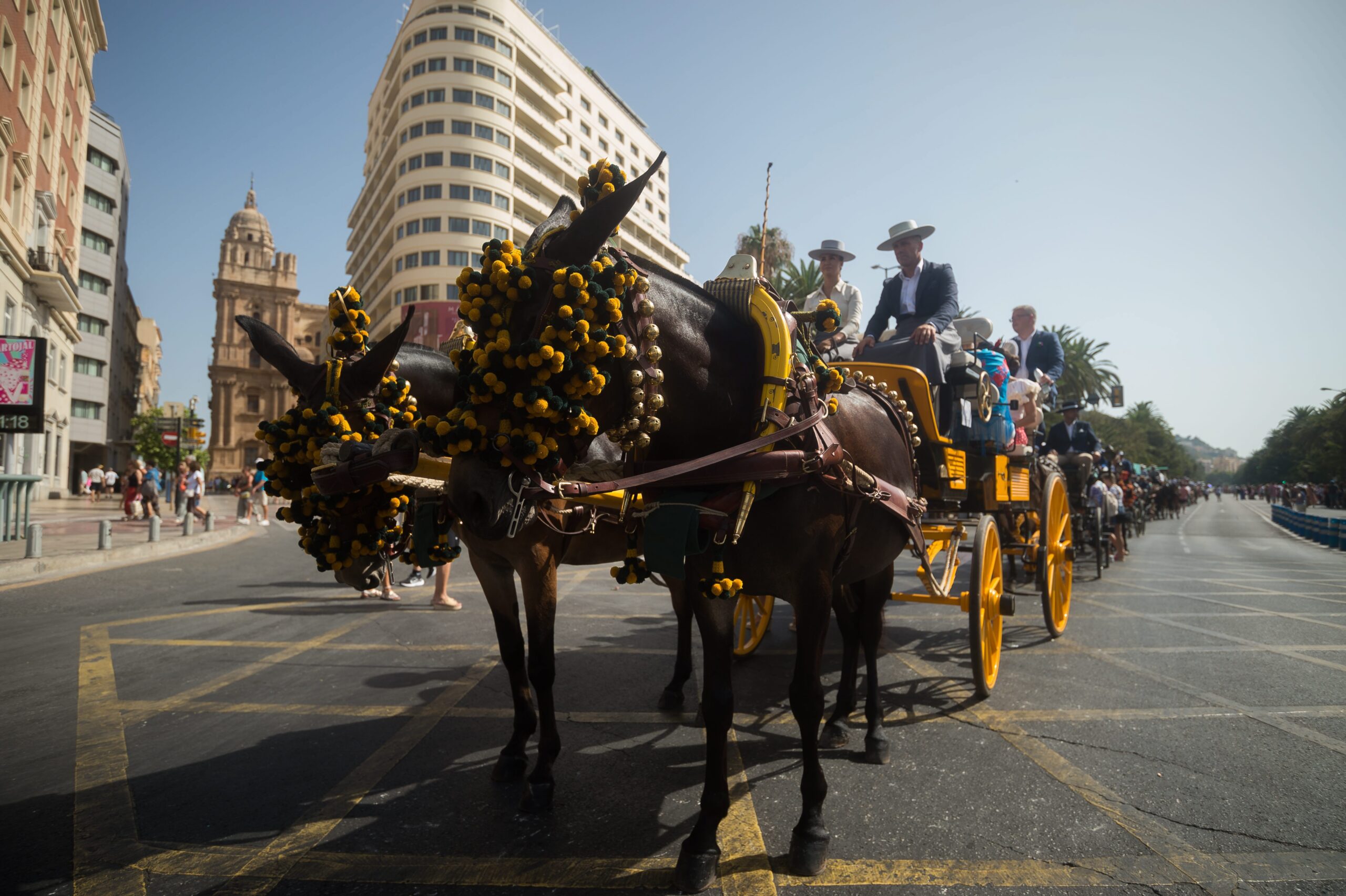 Los coches de caballos serán eliminados a finales de año en Málaga