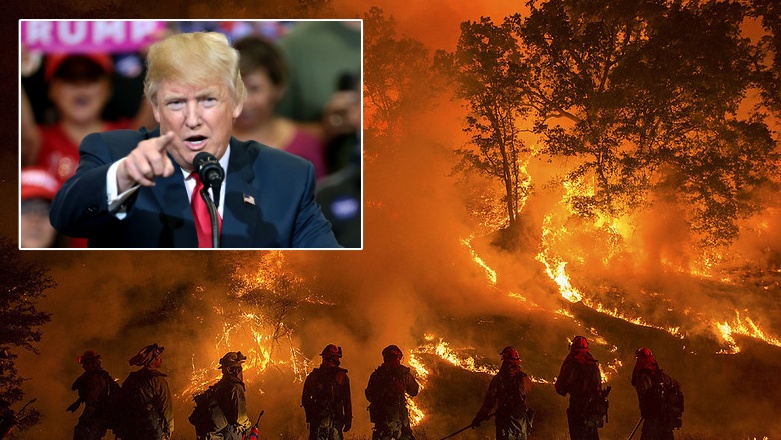 Breaking: Trump usa poderes de emergencia para enviar a los militares a los Estados Unidos a California y proporcionar agua: “Los días de poner un argumento ambiental falso, sobre la gente, han terminado”. | El experto de la puerta de entrada