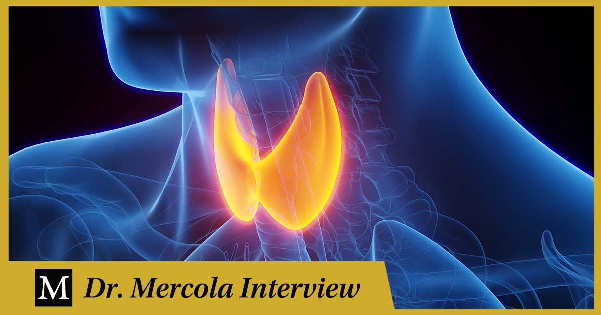 Alan Christianson – Desentrañando los misterios de la salud de la tiroides