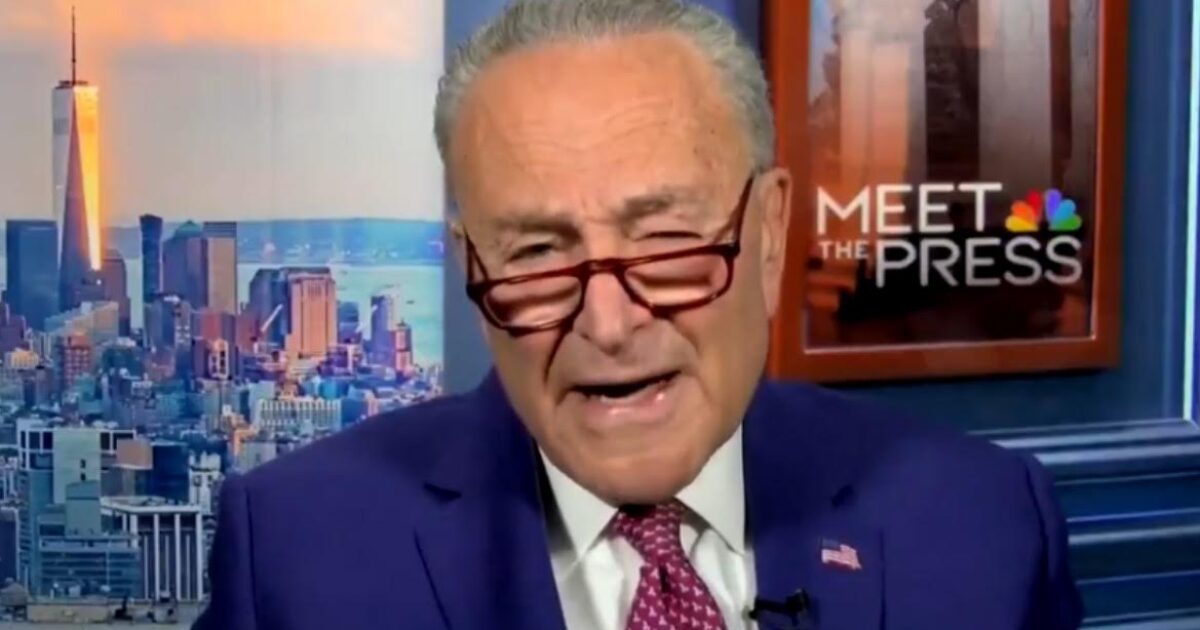 Chuck Schumer es borrado por Elon Musk y los conservadores después de que lanza la línea de propina para informar “abusos de poder” del gobierno y “amenazas a la seguridad pública” | El experto de la puerta de entrada