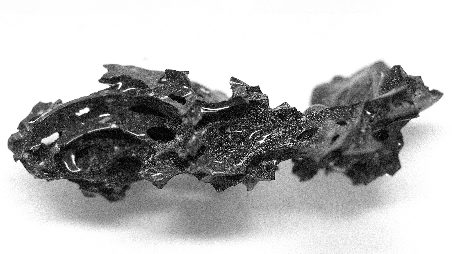 El Monte Vesubio convirtió este antiguo cerebro en vidrio. Aquí está como