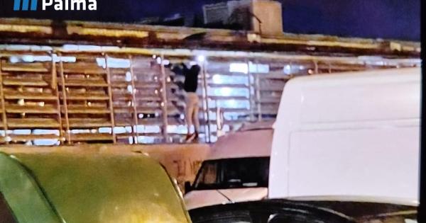 Hombre de 27 años reventado en Palma