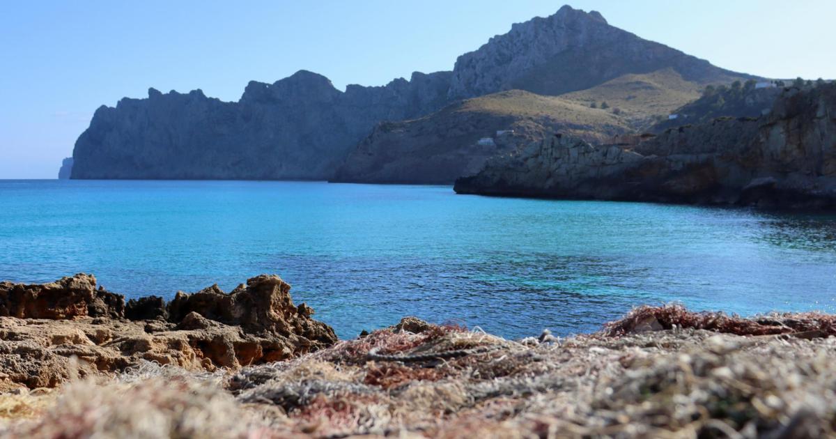 Mallorca Weather para el lunes 17 de febrero de 2025