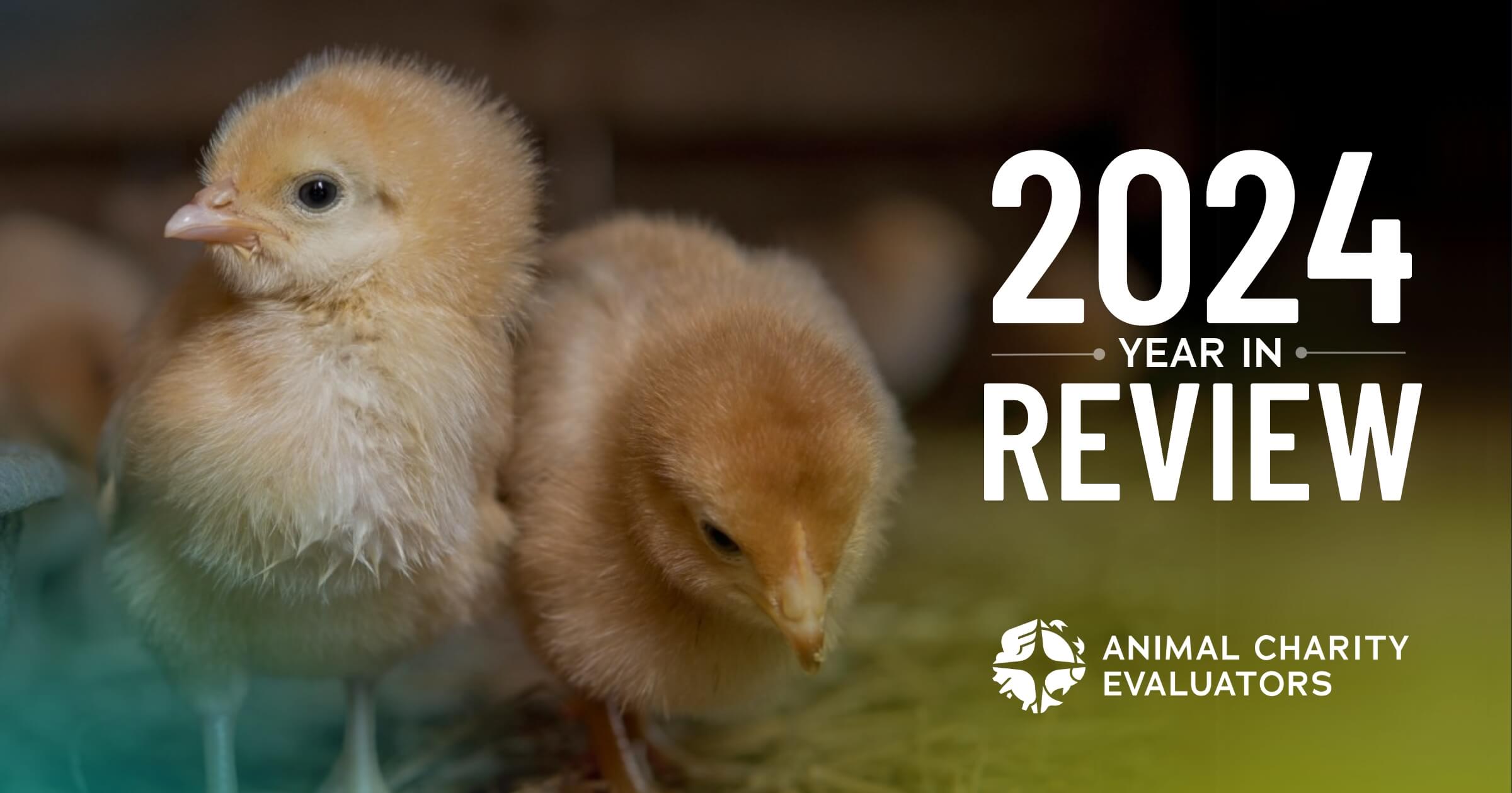 2024 ACE AÑO EN REVISIÓN