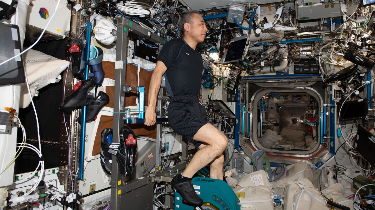 ¿El próximo salto gigante? Cómo saltar podría ayudar a los astronautas a entrenar para viajes a la luna y a Marte