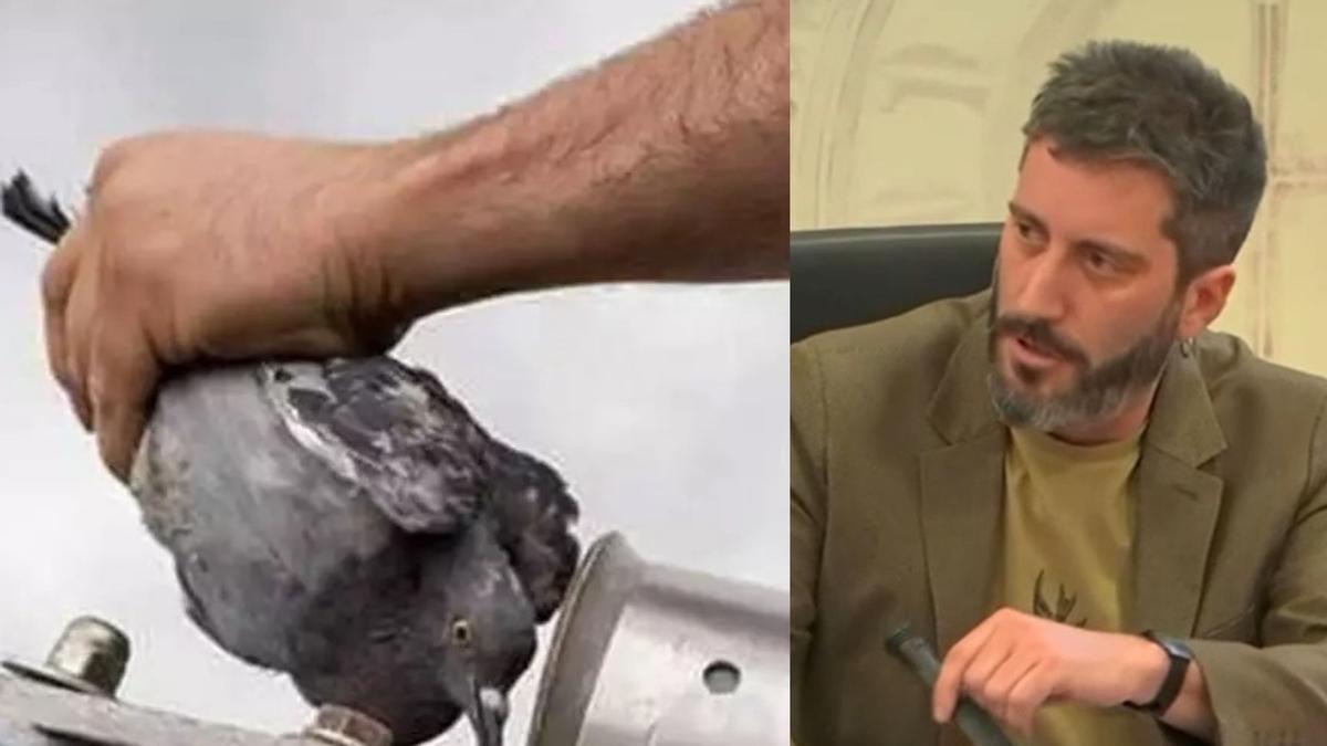PRODEMOS PROPONA EL “TIRO AL FACHON” COMO RESPUESTA A LA RESTAURACIÓN DEL TIRO AL PICHON EN MURCIA
